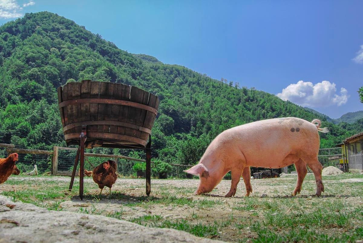 Agriturismo La Ferrera Varco Sabino Dış mekan fotoğraf